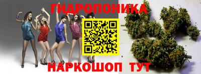 скорость Лесосибирск