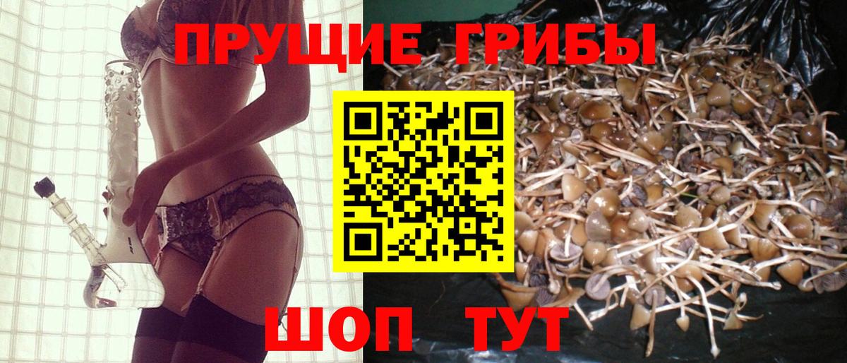 Галлюциногенные грибы Psilocybine cubensis Еманжелинск